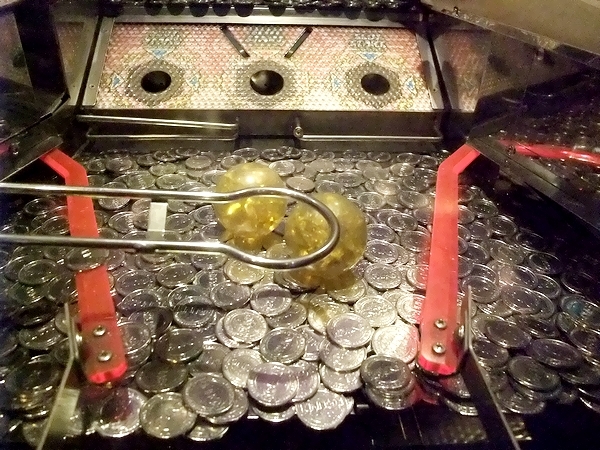 DSCF5091.jpg